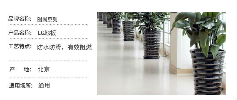 時尚系列.jpg